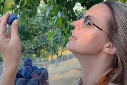 "Ukusi koje želim da pamte" Snajka pokojnog Marinka Rokvića otišla na selo, djeca joj muzu krave, pa beru voće i povrće