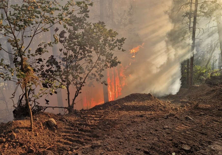 (FOTO) Ekipe na terenu: Pod kontrolom požar koji je zahvatio 50 dunuma šume i niskog rastinja