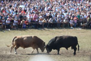 FOTO: SINIŠA PAŠALIĆ/RINGIER