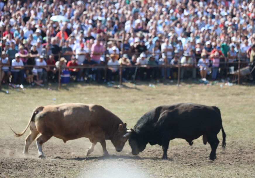 FOTO: SINIŠA PAŠALIĆ/RINGIER