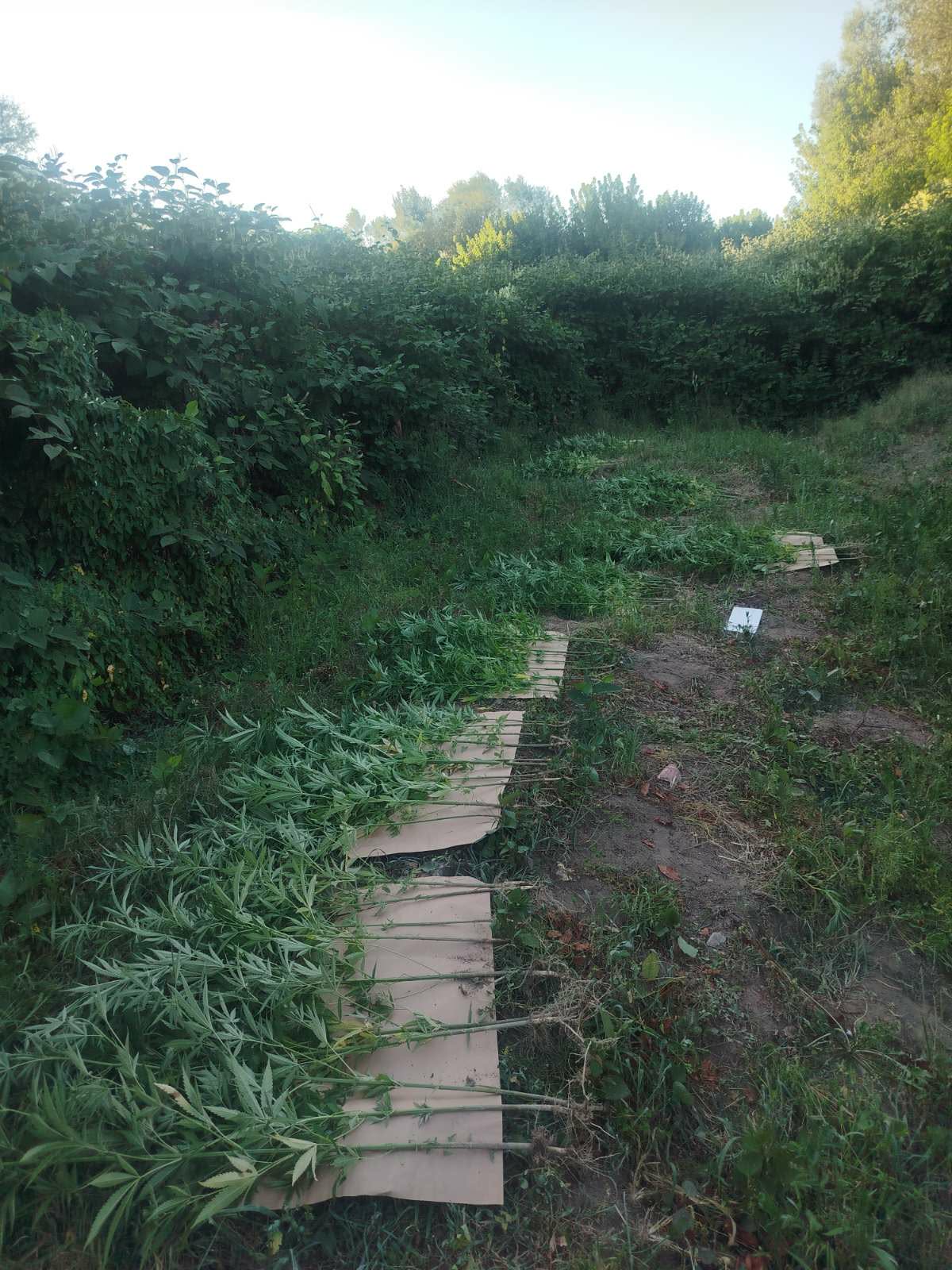 FOTO: PU DOBOJ