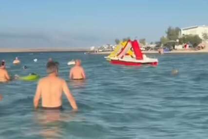 (VIDEO) "Marš ti iz mora" Haos na plaži u Hrvatskoj, turisti zatečeni onim što su ugledali u vodi