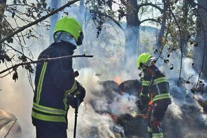 Ekipe na terenu na području Barlovaca: Učestali požari niskog rastinja i šume, vatrogasci apeluju da se ne pali vatra na otvorenom