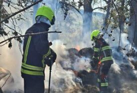 Ekipe na terenu na području Barlovaca: Učestali požari niskog rastinja i šume, vatrogasci apeluju da se ne pali vatra na otvorenom
