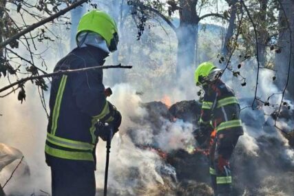 Ekipe na terenu na području Barlovaca: Učestali požari niskog rastinja i šume, vatrogasci apeluju da se ne pali vatra na otvorenom