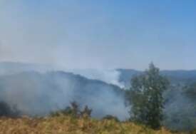 (VIDEO, FOTO) Vatrogasci na terenu: Jak vjetar ponovo rasplamsao požar kod Banjaluke