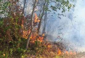 (FOTO) Dan pun intervencija: Banjalučki vatrogasci gasili 6 požara, gorjeli šuma, livade i nisko rastinje