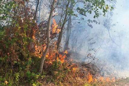 (FOTO) Dan pun intervencija: Banjalučki vatrogasci gasili 6 požara, gorjeli šuma, livade i nisko rastinje