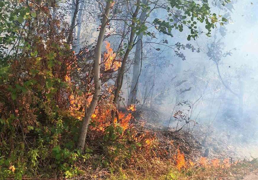 (FOTO) Dan pun intervencija: Banjalučki vatrogasci gasili 6 požara, gorjeli šuma, livade i nisko rastinje