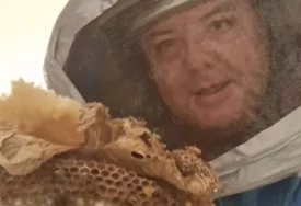 (VIDEO) Jeziv prizor iz dječje sobe: Vladica izvadio OGROMNO GNIJEZDO STRŠLJENOVA puno larvi