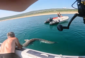 (VIDEO, FOTO) "Ovo je mnogo više od ulova" Ribar u Bilećkom jezeru uhvatio soma od 2 metra i 50 kilograma