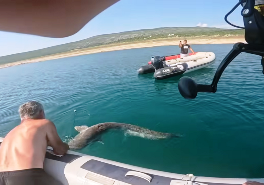 (VIDEO, FOTO) "Ovo je mnogo više od ulova" Ribar u Bilećkom jezeru upecao soma od 2 metra i 50 kilograma