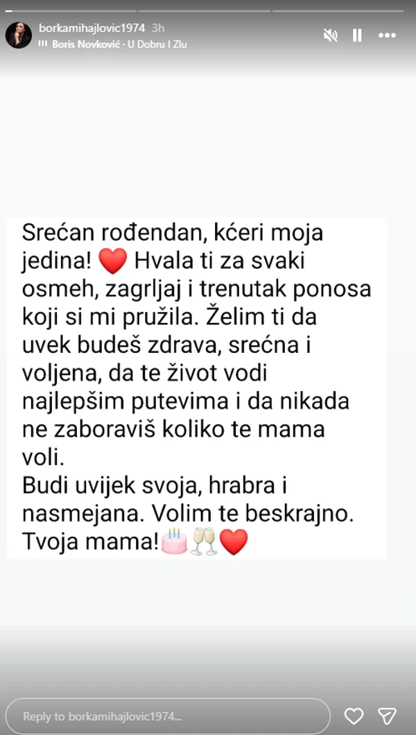 FOTO: BORKAMIHAJLOVIC1974/INSTAGRAM/SCREENSHOT
