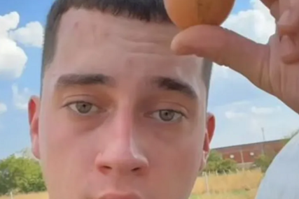 (VIDEO) KOKOŠKE PRETVORIO U BIZNIS Danilo iz Niša prodaje jaja direktno kupcima putem interneta