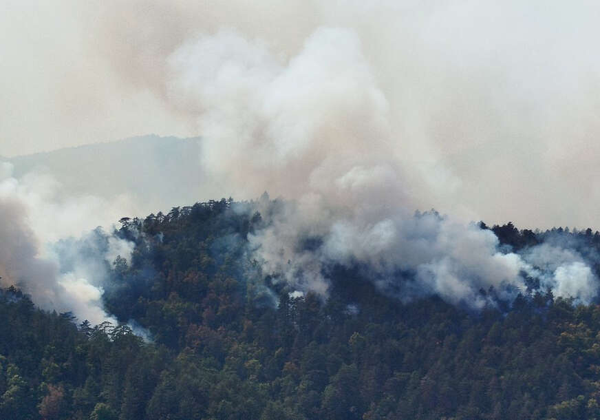 TESLIĆ POD OPSADOM VATRE Gori više od 100 hektara šume, proglašena elementarna nepogoda