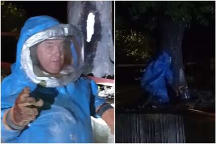 (VIDEO) VLADICA POSKOK U NOVOJ AKCIJI U plavom skafanderu usred noći uklonio gnijezdo stršljena iz školskog dvorišta
