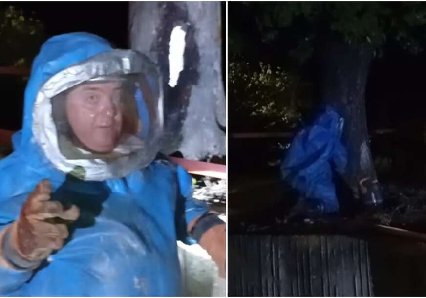 (VIDEO) VLADICA POSKOK U NOVOJ AKCIJI U plavom skafanderu usred noći uklonio gnijezdo stršljena iz školskog dvorišta
