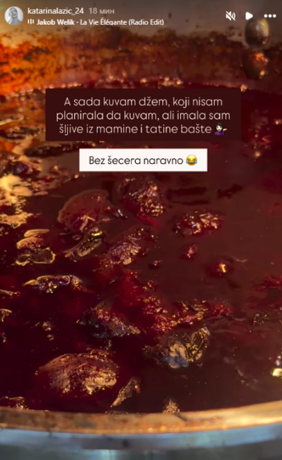 džem od šljiva