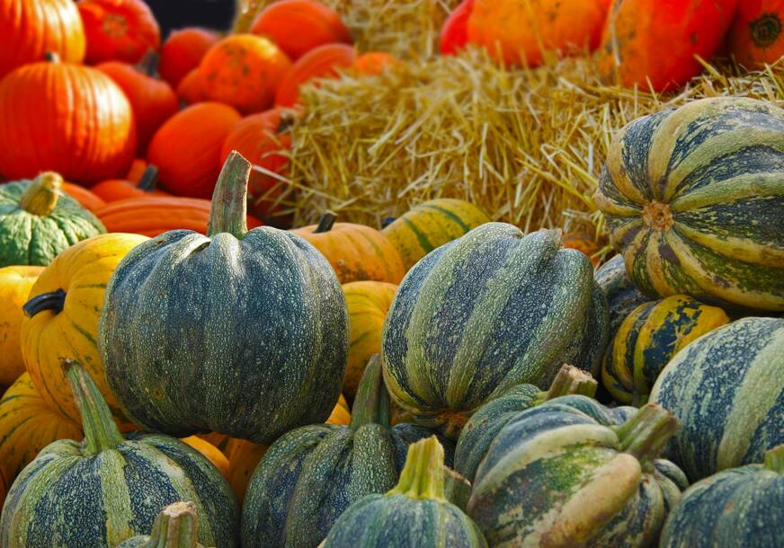 Nutricionista otkriva zašto su dobar izbor: Pet vrsta JESENJEG POVRĆA bogatog vlaknima