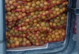 PALE 4,5 TONE MANDARINA Na granici zaustavljen kamion, vozač nije imao važan papir