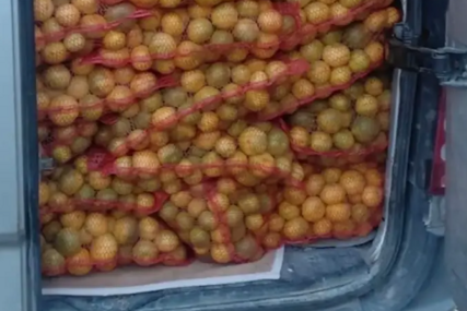 PALE 4,5 TONE MANDARINA Na granici zaustavljen kamion, vozač nije imao važan papir