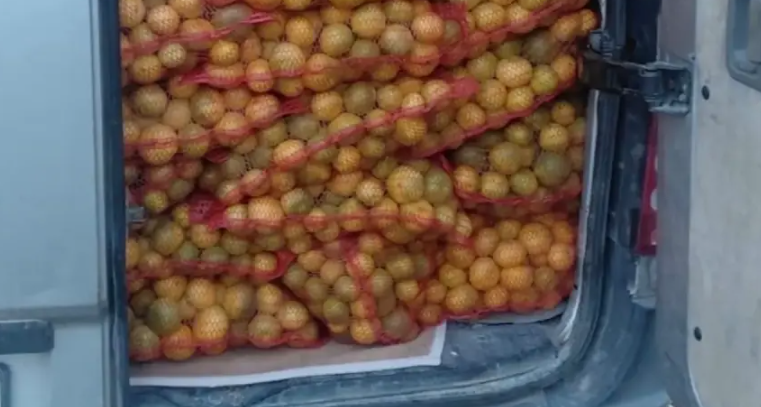 PALE 4,5 TONE MANDARINA Na granici zaustavljen kamion, vozač nije imao važan papir
