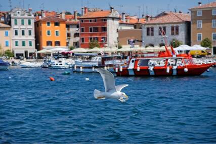 (FOTO) Dubrovnik i Rovinj ispred brojnih poznatih destinacija: Lista NAJBOLJIH GRADOVA Evrope za 2026. godinu