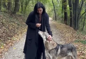 (VIDEO) ŽIVI KAO U BAJCI Elena Karaman otvorila vrata vile na Kosmaju, a prizor iz šume privukao posebnu pažnju