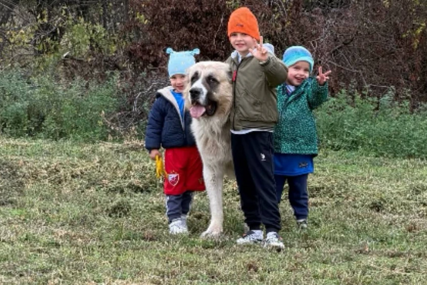 (VIDEO, FOTO) SUBOTA ZA POŽELJETI Veljko Ražnatović okupio porodicu, pa se svi uputili u šetnju po imanju
