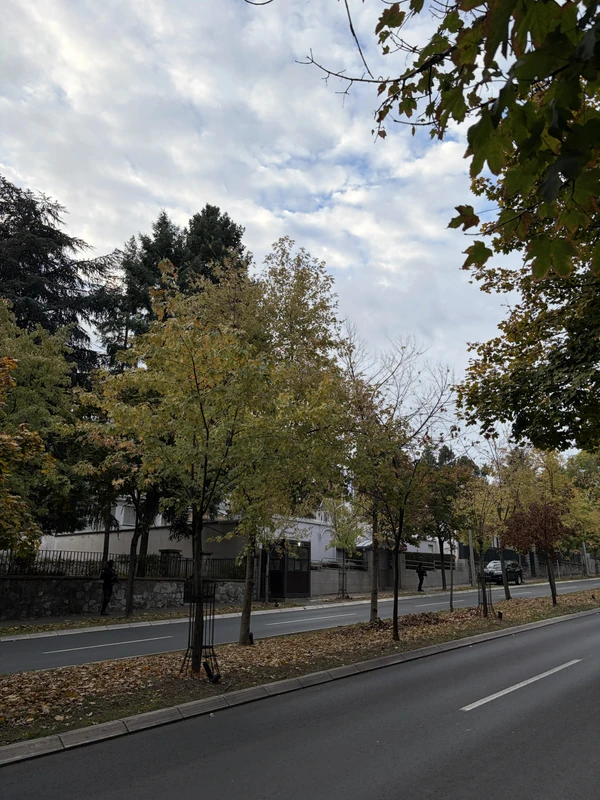 FOTO: RINGIER