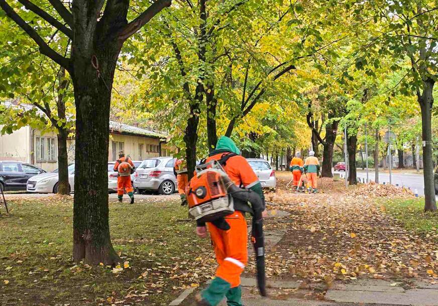 čišćenje lišća 