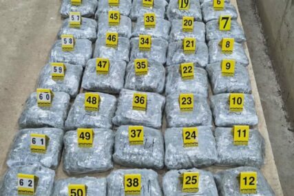 Državljanin BiH uhapšen na granici: Policija u kamionu pronašla 65 KILOGRAMA MARIHUANE