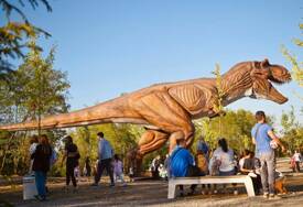 Nova omiljena oaza u Banjaluci: Dino park na Krčmaricama nadmašio sva očekivanja