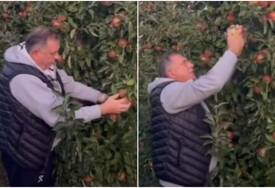 (VIDEO) "A i jabuke su rodile" Dodik se OGLASIO IZ SVOG VOĆNJAKA, poslao dvosmislenu poruku