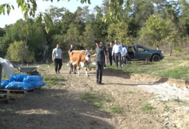 (FOTO) ŽIVE OD 150 KM Samohrana majka Vladimirka i njeni sinovi ne odustaju od svog ognjišta, dobri ljudi su im vratili nadu