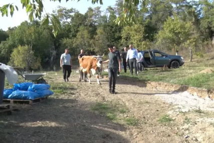 (FOTO) ŽIVE OD 150 KM Samohrana majka Vladimirka i njeni sinovi ne odustaju od svog ognjišta, dobri ljudi su im vratili nadu