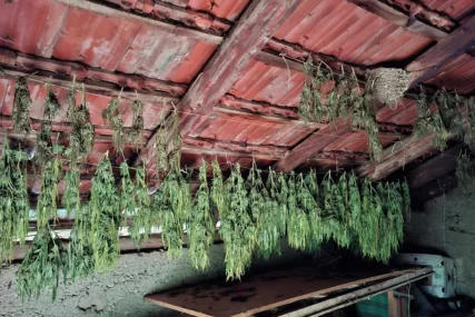 (FOTO) Akcija policije u Čapljini: U pretresu pronađeni droga, oružje i kombinezon Granične policije BiH