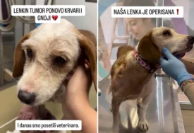 (VIDEO) 4 metka, očni crv i tumori nisu joj slomili duh: Lenka i dalje vjeruje ljudima i čeka nekoga ko će je voljeti