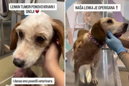 (VIDEO) 4 metka, očni crv i tumori nisu joj slomili duh: Lenka i dalje vjeruje ljudima i čeka nekoga ko će je voljeti