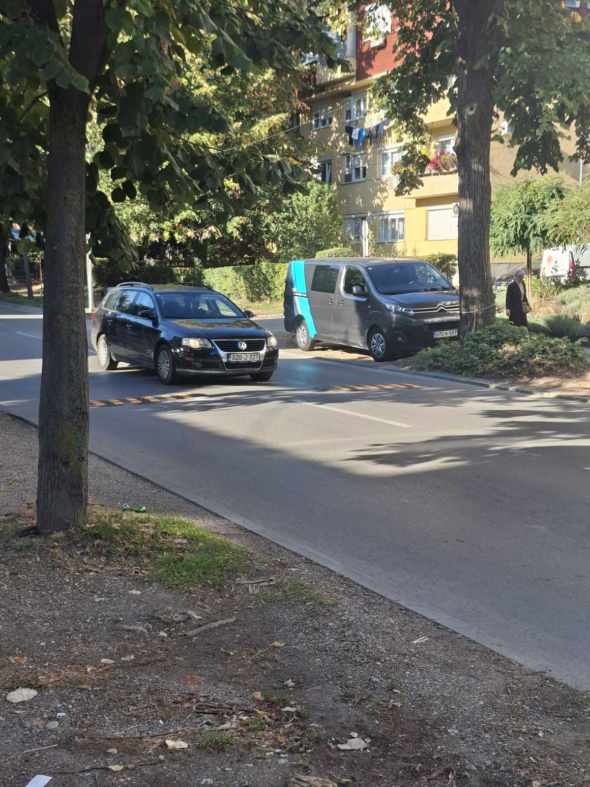 Ulica Skendera Kulenovića, ležeći policajci